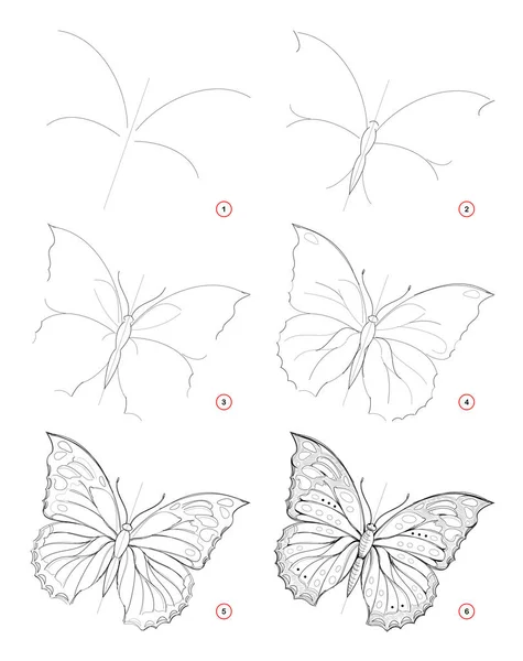 Como Desenhar Esboço Bela Borboleta Fantástica Criação Passo Passo Desenho — Vetor de Stock