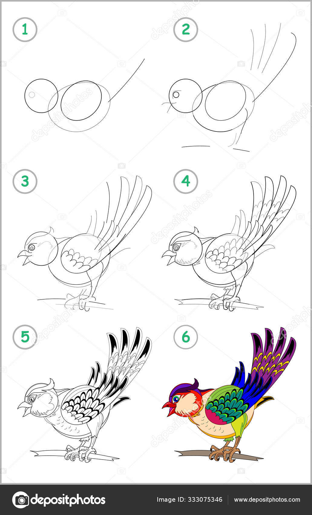 como desenhar um pássaro bonito passo a passo. coleção de