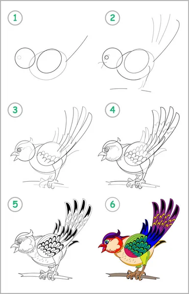 かわいい小鳥を一歩ずつ描く方法 子供のための教育ページ 学校に戻る 図面や着色のための子供のスキルを開発 ベビーブック用の印刷可能なワークシート ベクター漫画の画像 — ストックベクタ