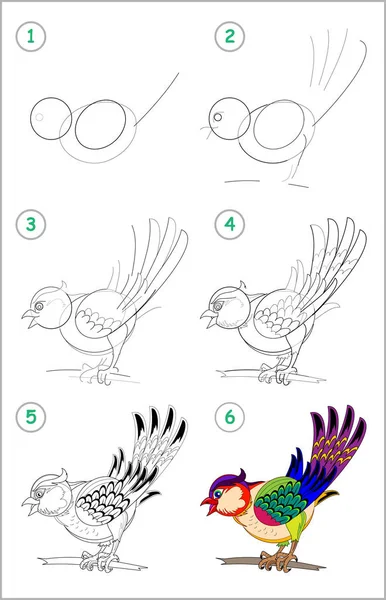 Como Desenhar Passo Passo Passarinho Bonito Página Educacional Para Crianças —  Vetores de Stock