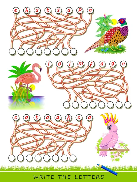 Jogo Quebra Cabeça Lógica Para Estudar Inglês Com Labirinto Encontre — Vetor de Stock