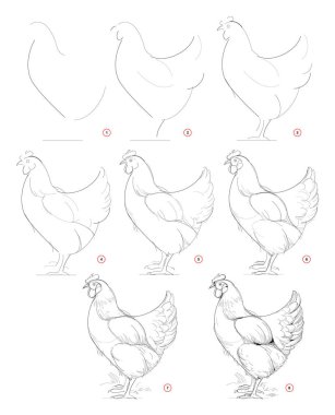 Hayali evcil tavuğun nasıl çizileceğini. Adım adım kalem çizerek yaratma. Sanatçılar için eğitim. Sanatsal becerileri geliştirmek için bir ders kitabı. Grafik tabletine göre bilgisayarda elle çizilmiş vektör.