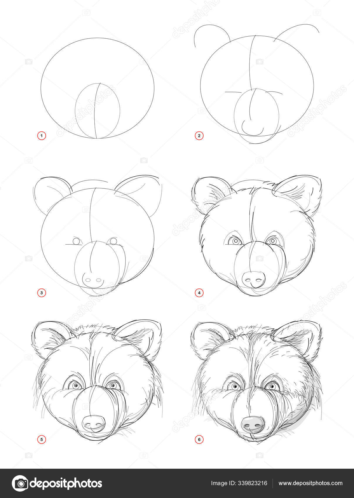 How to draw Kawaii Panda Bear l Como desenhar Urso panda Kawaii - Drawing  to Draw 