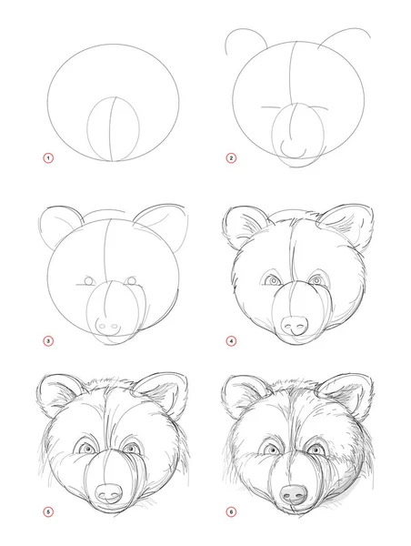 How Draw Sketch Imaginary Cute Bear Head Creation Step Step — Stock Vector