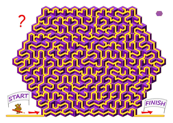 Logiskt Pusselspel Med Labyrint För Barn Och Vuxna Hitta Vägen — Stock vektor
