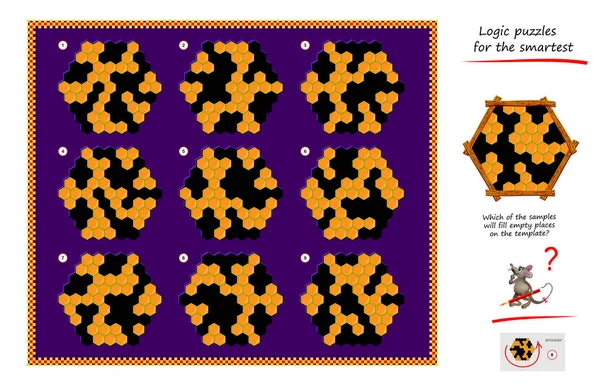 Jeu Puzzle Logique Pour Enfants Adultes Lequel Des Échantillons Remplira — Image vectorielle