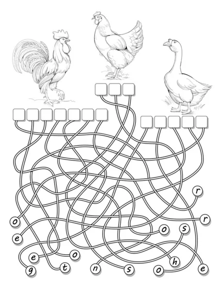 Lógica Juego Puzzle Para Estudiar Inglés Con Laberinto Encuentra Los — Archivo Imágenes Vectoriales