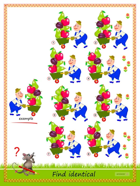 Jeu Puzzle Logique Pour Enfants Adultes Trouver Reflet Jardinier Identique — Image vectorielle