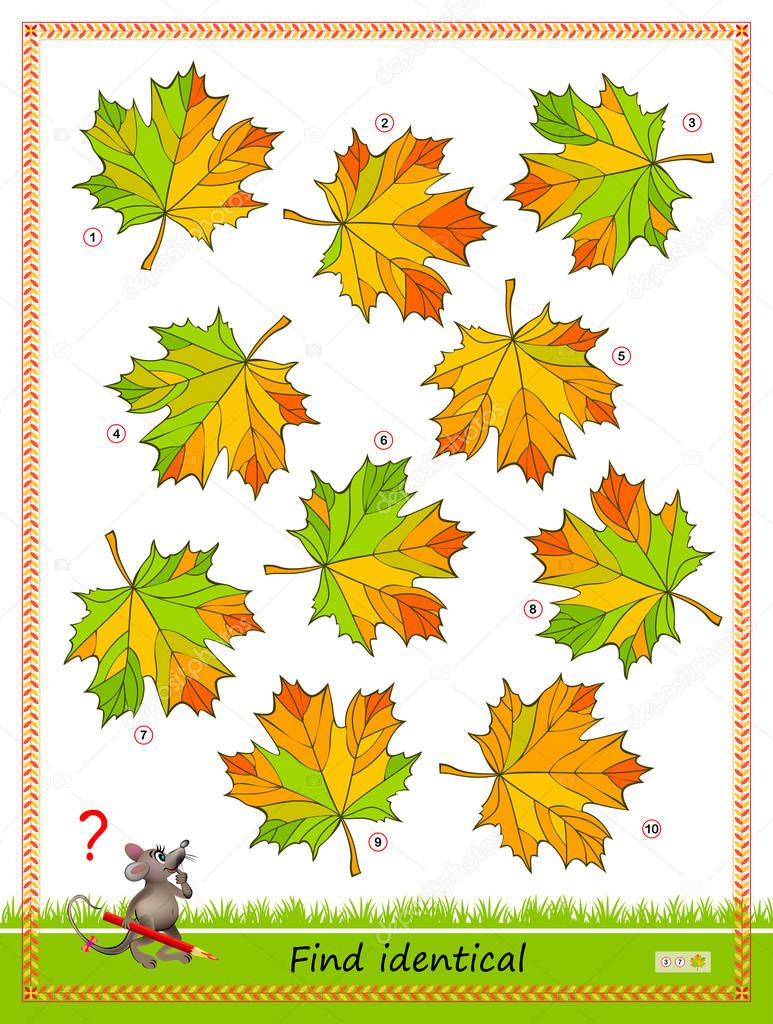 Logic puzzle game for children and adults. Find two identical leaves. Printable page for kids brain teaser book. Developing spatial thinking skills. IQ training test. Flat vector cartoon image.