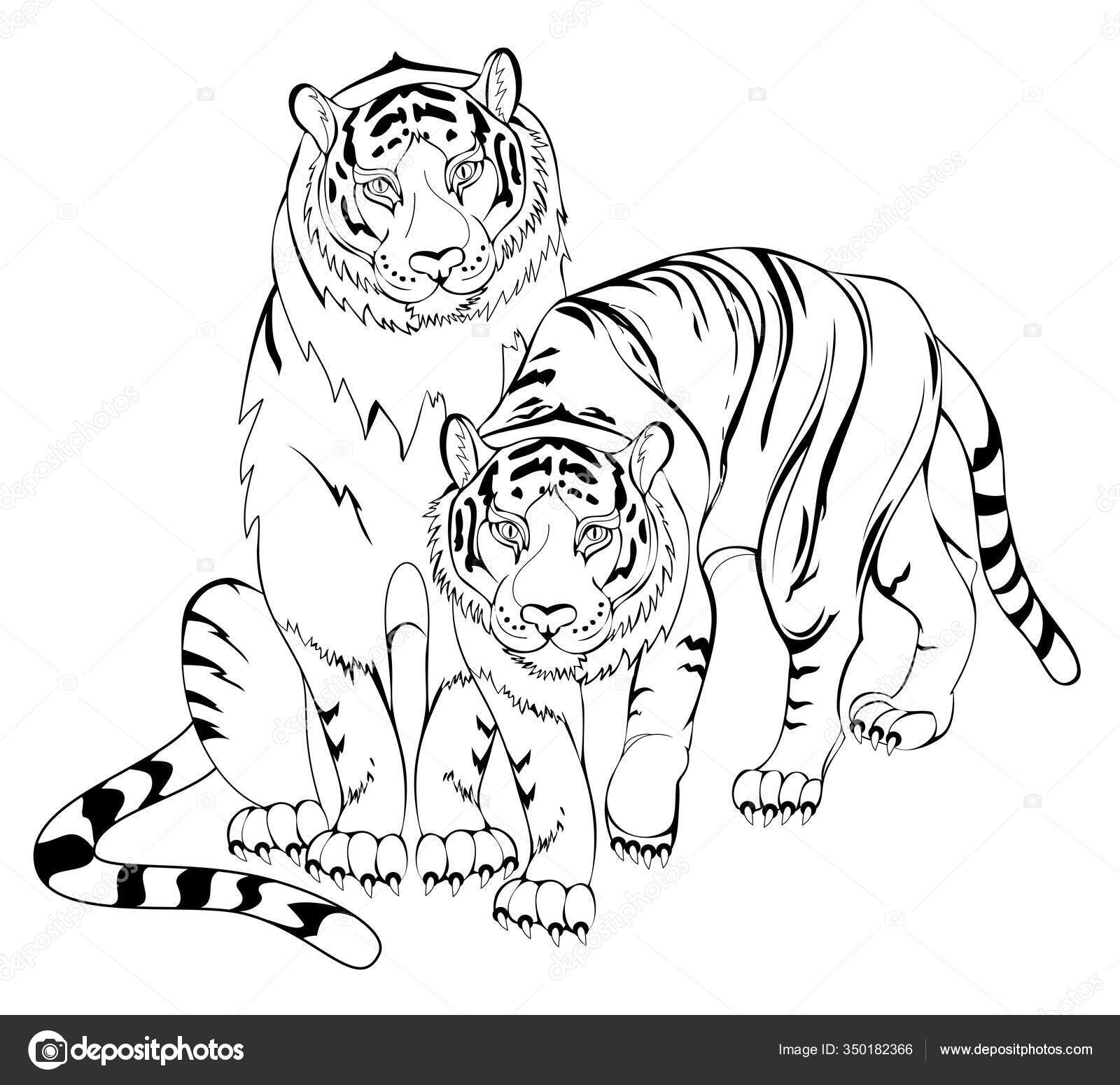 permite colorir o livro de colorir animais fofos para crianças pequenas.  jogo de educação para crianças. pintar o tigre 11570080 Vetor no Vecteezy