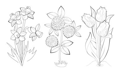 Bebek boyama kitabı için siyah beyaz sayfa. Bahar çiçeklerinin çizimleri. Çocukların ders kitabı için basılabilir şablon. Çocuklar ve yetişkinler için çalışma tablosu. El çizimi vektör resmi.