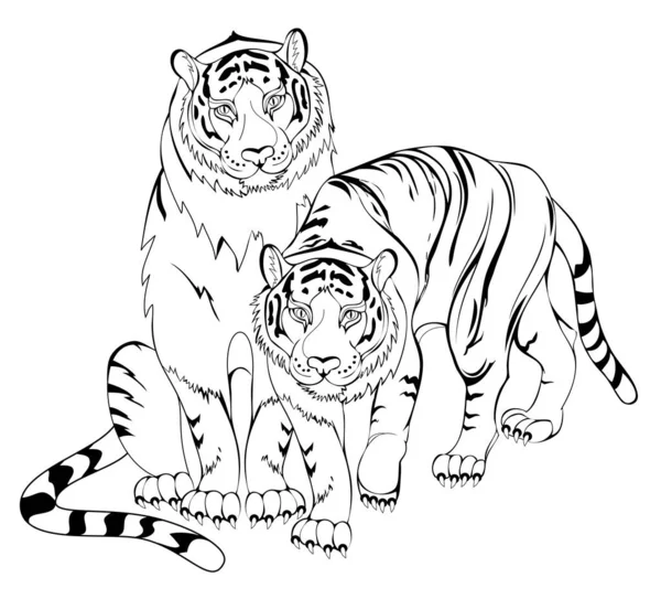 Black White Page Kids Coloring Book Illustration Tigers Couple Worksheet — Stock Vector
