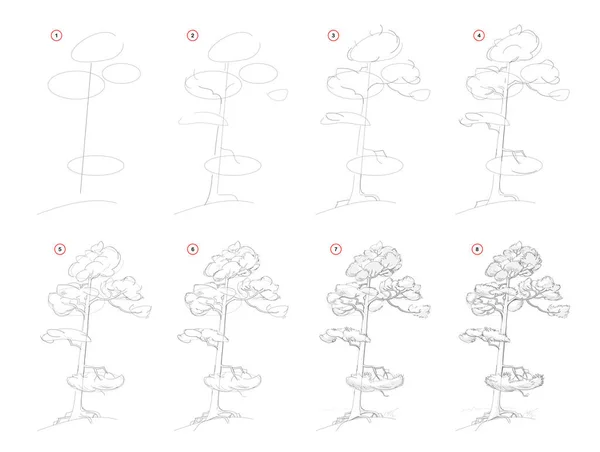 Намалювати Ескіз Соснового Дерева Створення Покрокового Креслення Олівцем Освітня Сторінка — стоковий вектор