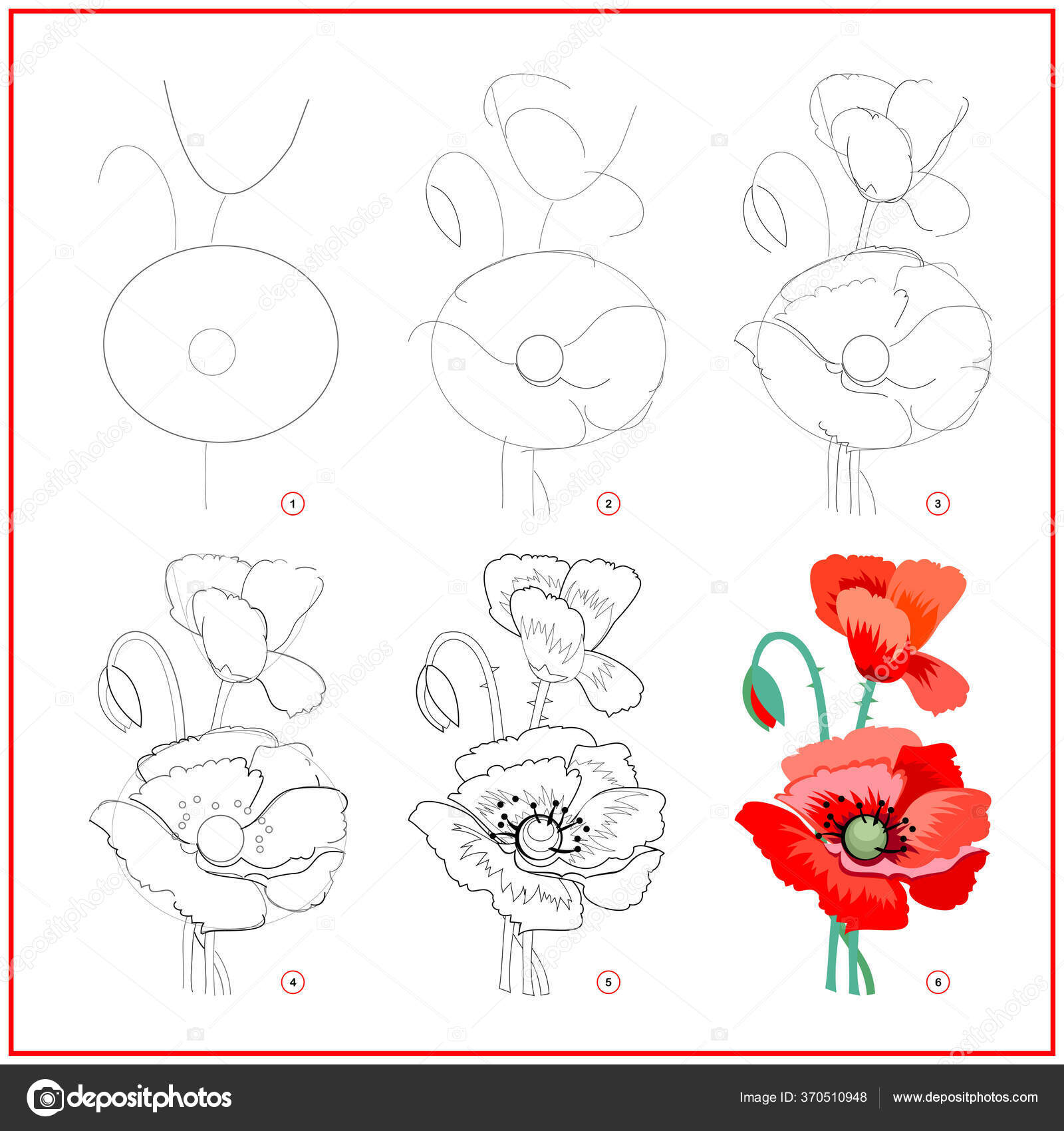  Qualquer pessoa pode desenhar flores: Tutorial de