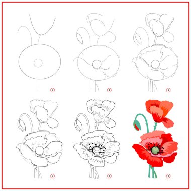 Page shows how to learn to draw step by step flower of red poppy. Developing children skills for drawing and coloring. Printable worksheet for kids school exercise book. Flat vector illustration. clipart