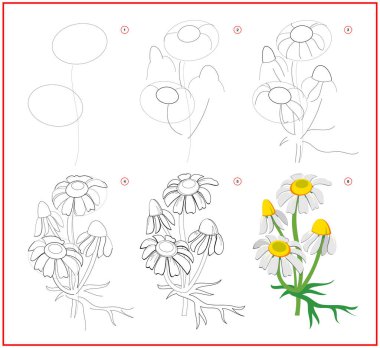 Page shows how to learn to draw step by step flower of chamomile. Developing children skills for drawing and coloring. Printable worksheet for kids school exercise book. Flat vector illustration. clipart
