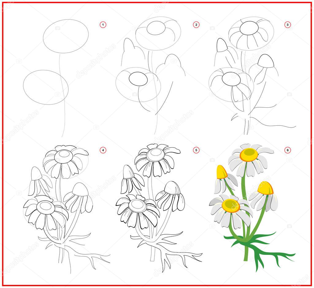 Page shows how to learn to draw step by step flower of chamomile. Developing children skills for drawing and coloring. Printable worksheet for kids school exercise book. Flat vector illustration.