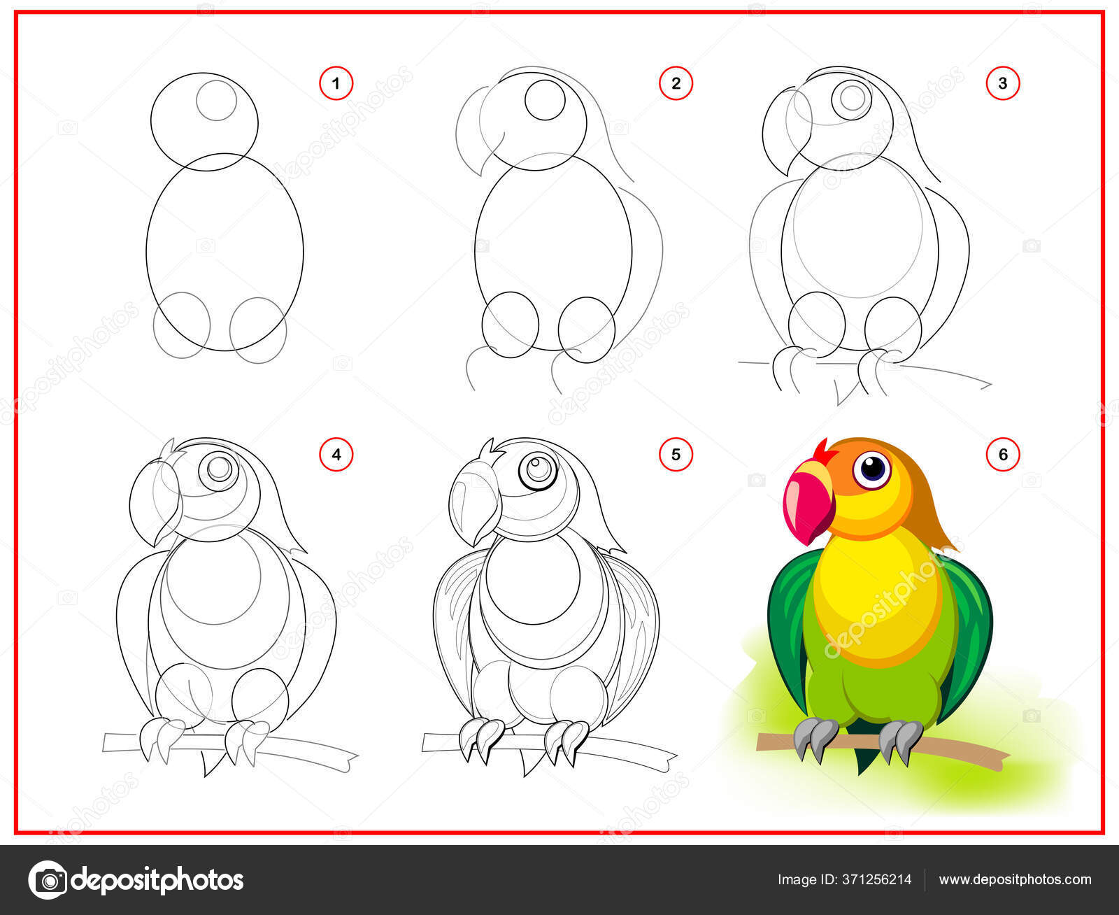 How to Draw a Simple Parrot for Kids