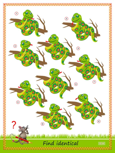儿童和成年人的逻辑拼图游戏 找到两条一模一样的蛇为孩子们打印的智力测验书 发展计数技能 智商测试平面矢量卡通画 网上教育 — 图库矢量图片