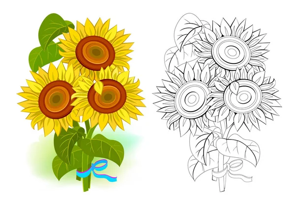 Outline and color sunflower imágenes de stock de arte vectorial |  Depositphotos