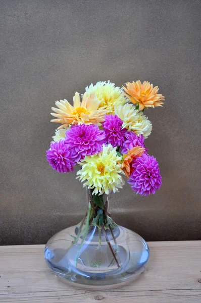 Glass vase with natural dahlias — Stock Photo, Image