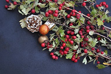   Kırmızı doğal hackberry 