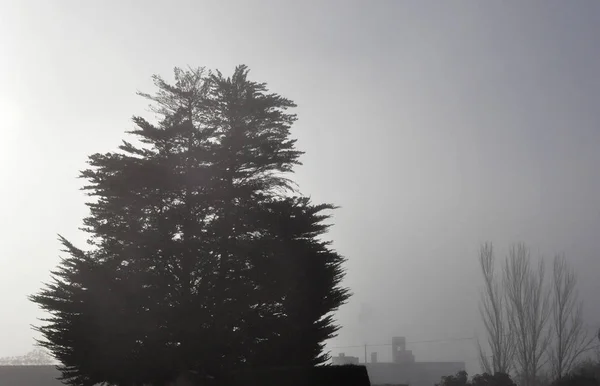 Táj sűrű köd — Stock Fotó