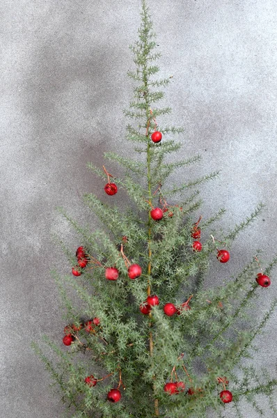 küçük Noel ağacı