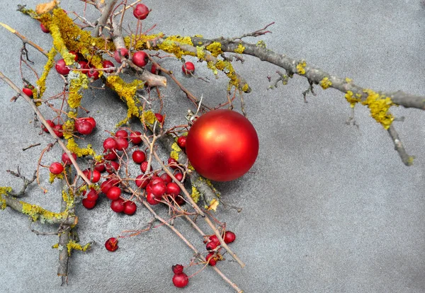 Christmas card with berries — Stock Photo, Image