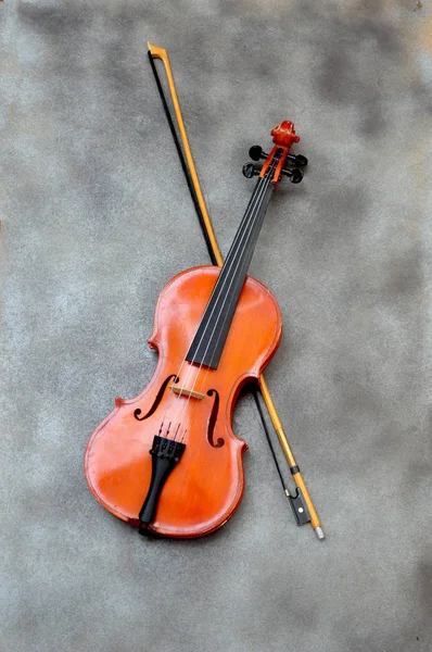 小提琴和灰色的背景上的蝴蝶结 — 图库照片