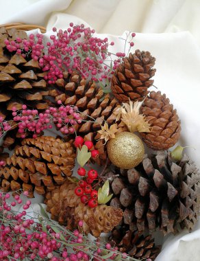 Ananas ve çilek ile Noel ve yeni yıl kartı