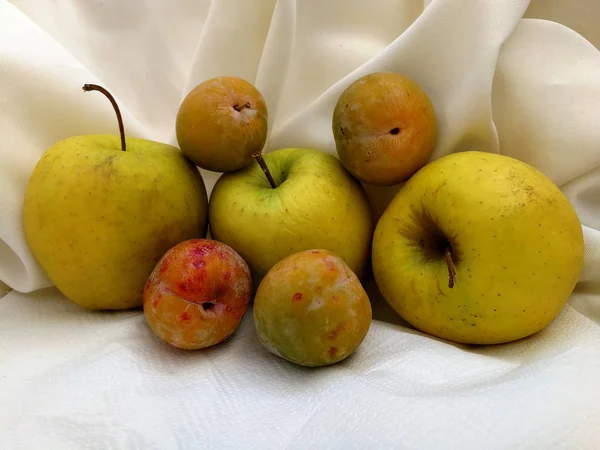 apples and plums on white cloth background