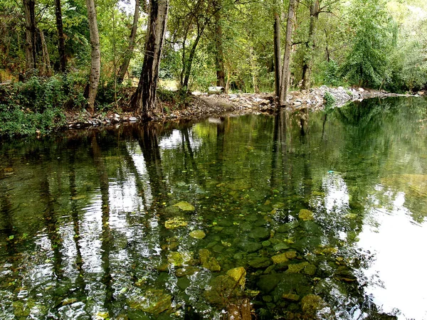 Źródła Wody Zielony Środowisko — Zdjęcie stockowe