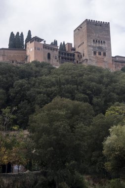 Kuleleri ve bitkileri olan Alhambra tepesi