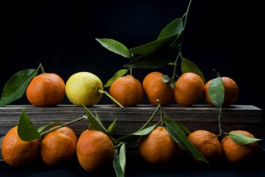 Siyah arkaplanda yaprakları olan organik mandalinalar