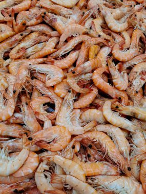 prawns, prawns and shrimps in the fish market