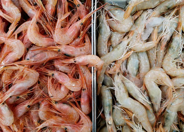 Prawns Prawns Shrimps Fish Market — Stockfoto