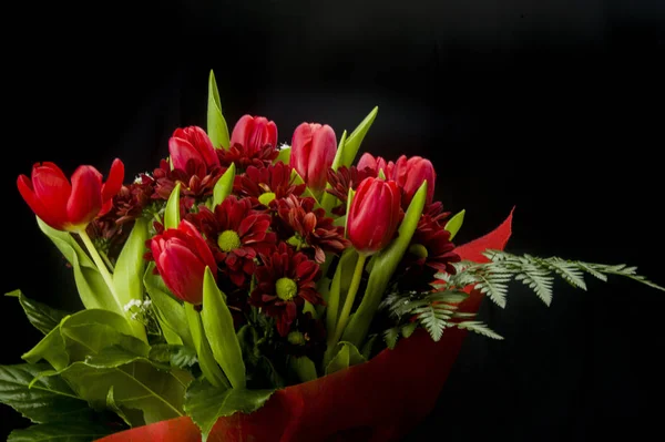 Levendig Boeket Van Rode Tulpen Madeliefjes — Stockfoto