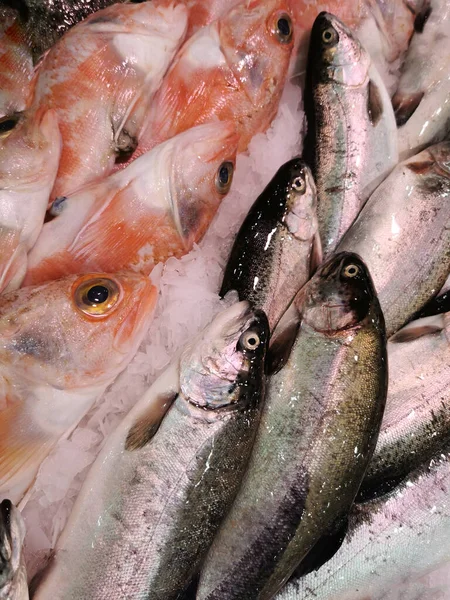 fresh fish close up at market