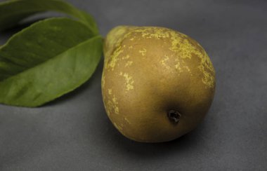 metalik gri üzerine armut konferansı