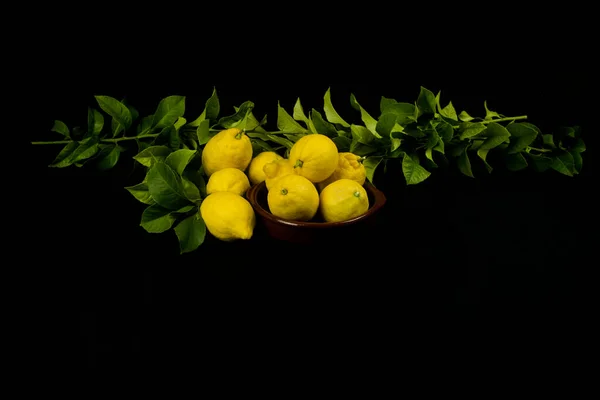 Zitronen Auf Schwarz Und Blätter Auf Zweigen — Stockfoto