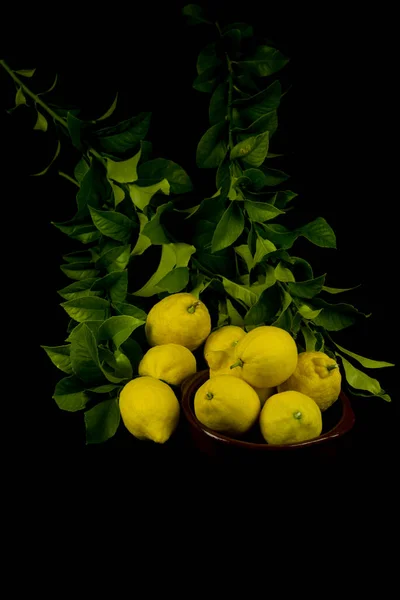 lemons on black and leaves on branches