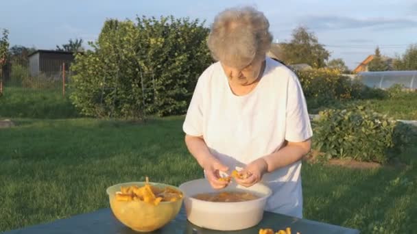 Літня жінка 80-х очищає гриби лисички — стокове відео