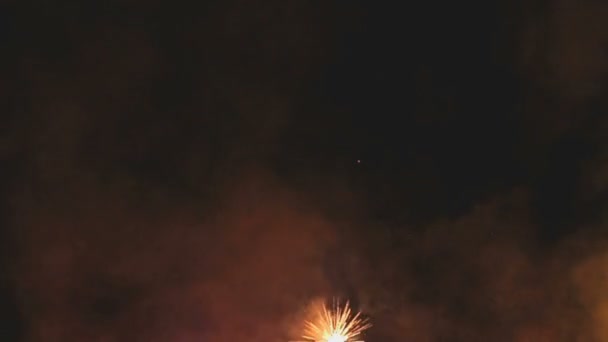 Fogos de artifício de várias cores — Vídeo de Stock