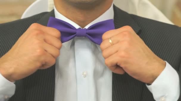 Handsome young man tightening bow tie — Stock Video