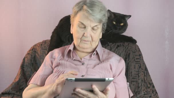 Mulher idosa senta-se na poltrona ao lado do gato preto — Vídeo de Stock