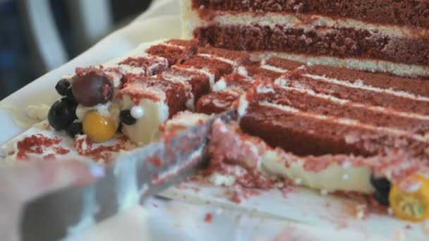 Waiter cuts the wedding cake into pieces. Close up — Stock Video
