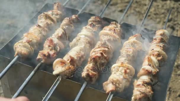 Cooking of pork skewers on metal skewers on coals — Stock Video