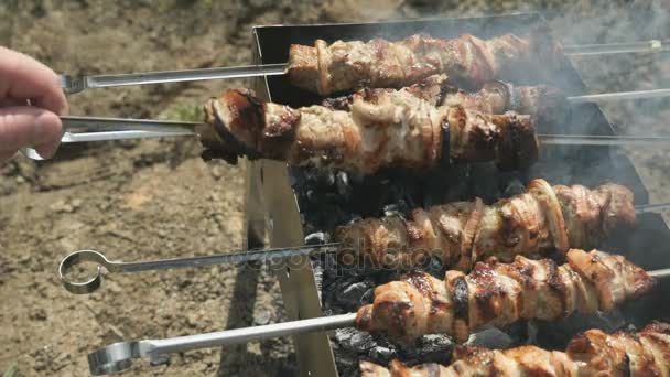 Cooking delicious kebabs on metal skewers on coals — Stock Video