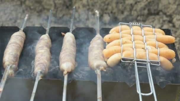 Koken van gegrilde worstjes brochettes op kolen — Stockvideo